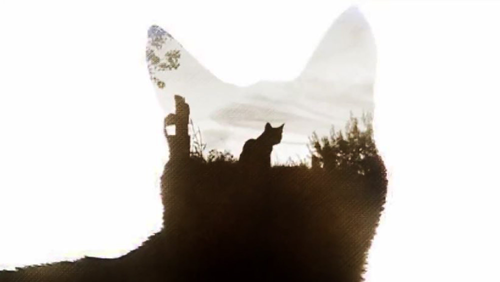 Clip des Tages: True Warrior Cats (True Detective Opening with Cats)