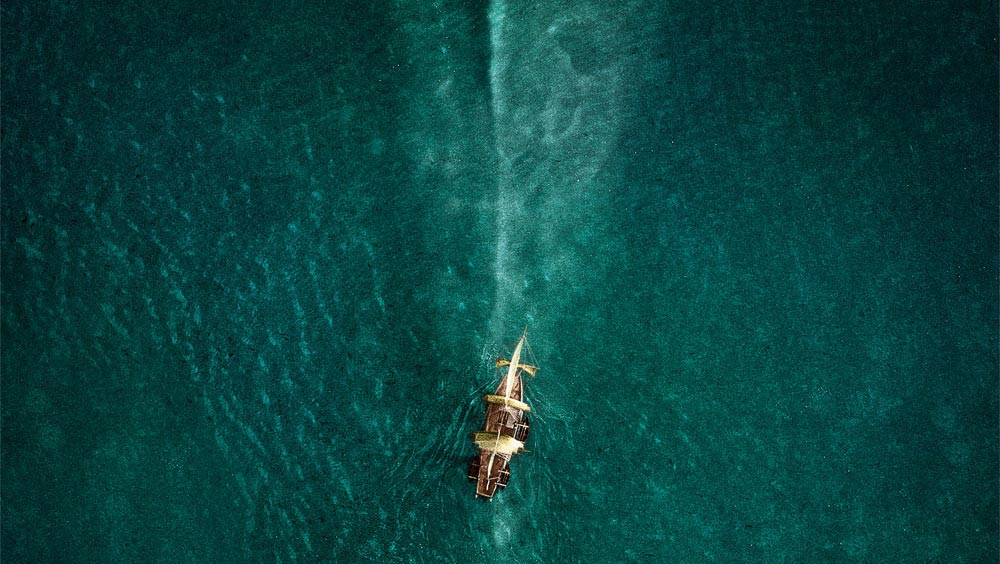 Trailer: In The Heart Of The Sea