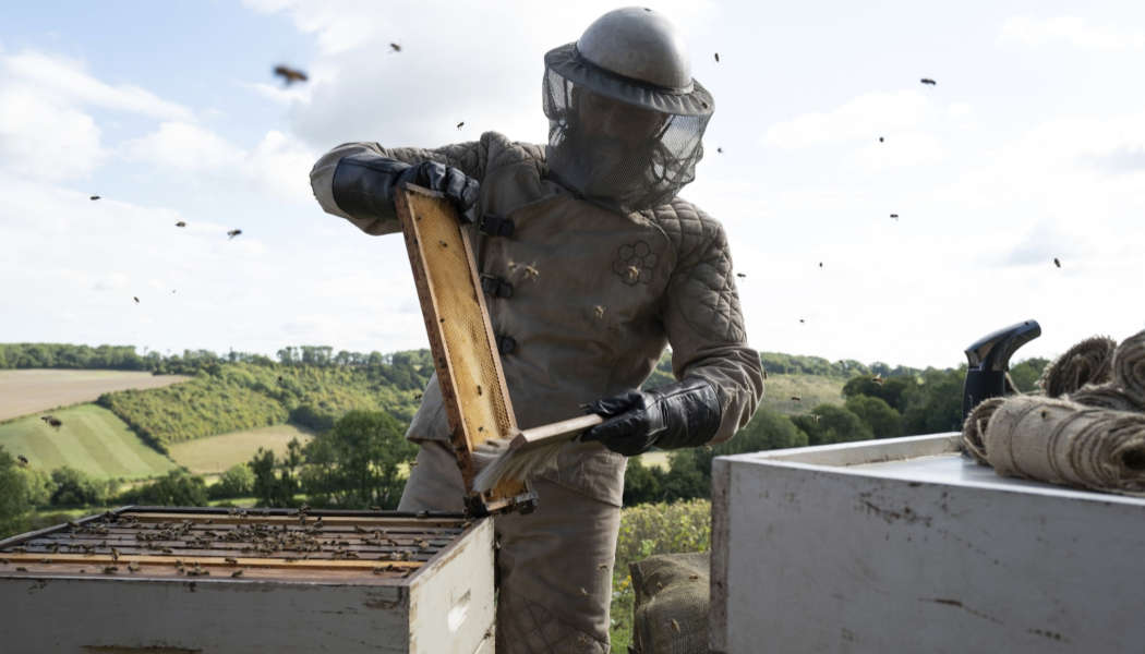 The Beekeeper (c) 2023 LEONINE(8)