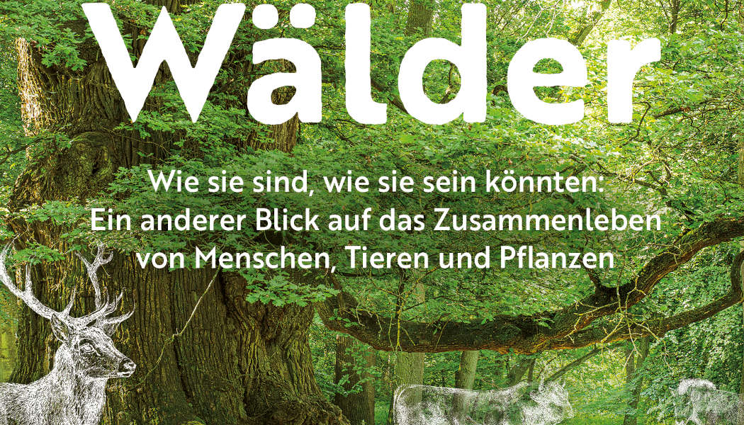 Unsere Wälder (c) 2024 Jan Haft, Penguin Verlag(2)